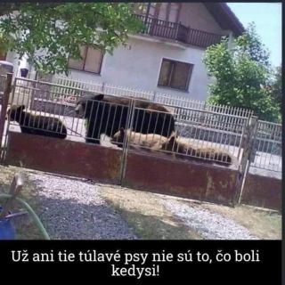 Trošku na odľahčenie atmosféry na Slovensku 😄 Myšlienku je potrebné brať s nadhľadom💚 Zdroj : facebook