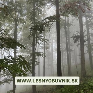 Testujeme našu/vašu obuv na každej hubačke, turistike a poľovačke aby sme pre vás vybrali len top top modely 💚 Dnes...