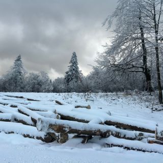 Zima je tu v plnej sile a hneď na začiatku nás potešila parádnou nádielkou 🌨️❄️ Autá už majú všetci prezuté na zimné...
