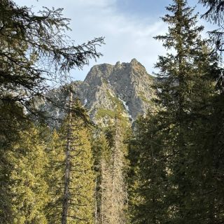 Turistika v prírode je vždy ten správny balzam na dušu 🤗 💚 Aj keď tomu často predchádza veta od nežnej polovičky "čo si...