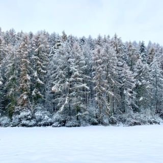 ❄️✨ Zasnežená krajina je sen ! A úprimne - tešíme sa z nej úplne všetci… aj naši chlpatí kamoši, ktorí v tom snehu lietajú...